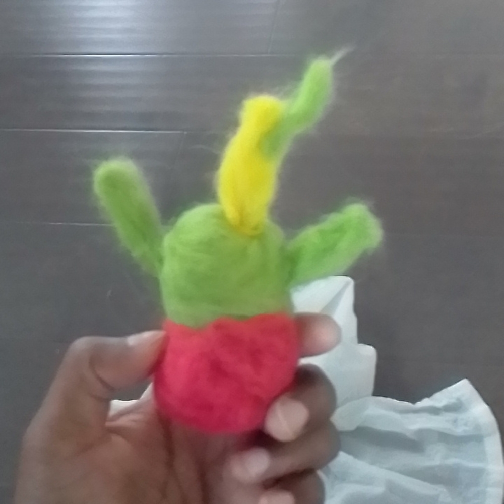 🌵catus - Picture 2 of 2